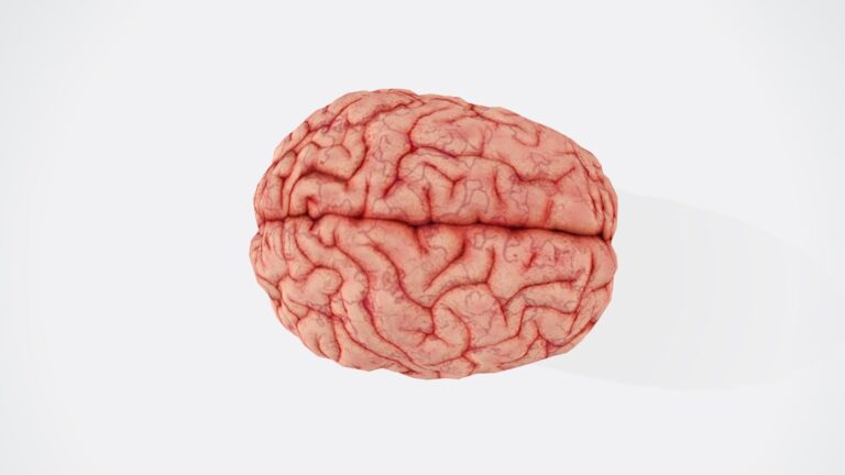 Brain Health Habits Examples for Peak Performance