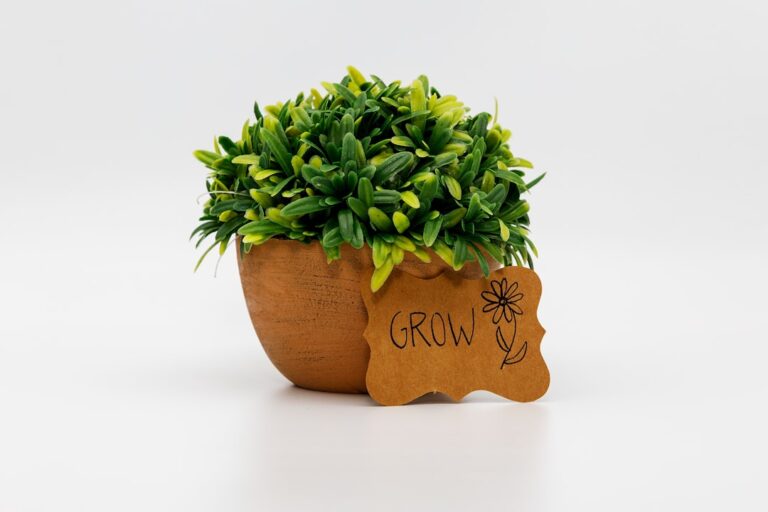 Growth Mindset Development Guide for Professionals