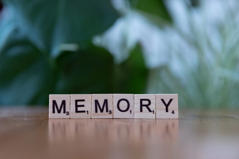 Memory Improvement Techniques Step by Step