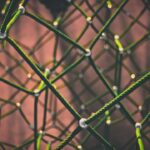 Building Professional Network: The 2026 Guide
