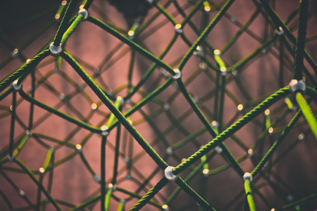 Building Professional Network: The 2026 Guide