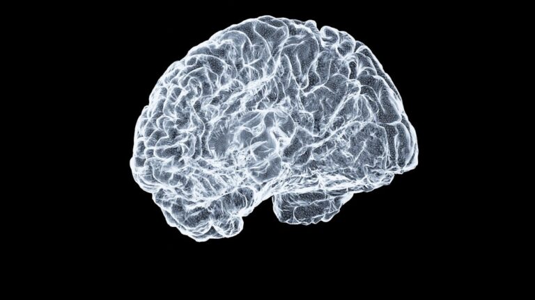The Second Brain Method: A Complete Guide